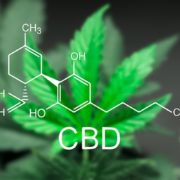 FDA’s Approval of New Cannabis-Derived Drug Will Pave the Way for Future Medications, CEO Says