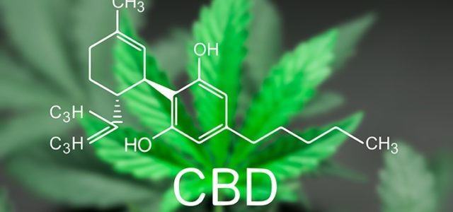 FDA’s Approval of New Cannabis-Derived Drug Will Pave the Way for Future Medications, CEO Says