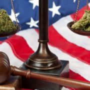 Support for Legal Marijuana Higher Than Ever