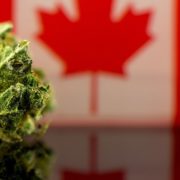 4 Marijuana Legalization Predictions for Canada