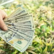 Banking Within the Legal Cannabis Industry