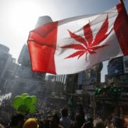 Canadian Legislation Continues to Move Marijuana Companies Forward