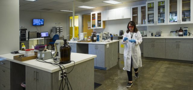 First tests are in, and one in five marijuana samples in CA isn’t making grade