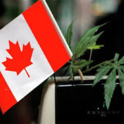 How Is Legal Marijuana Impacting Canada