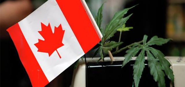 How Is Legal Marijuana Impacting Canada