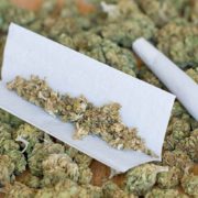 New York Report Concludes That Recreational Marijuana Should Be Legalized