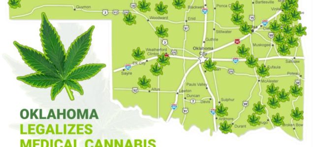Oklahoma Governor to Respect State’s New Marijuana Law