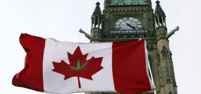 Pharmacists urge Senate to include more support for patients as they consider Bill C-45 to legalize cannabis