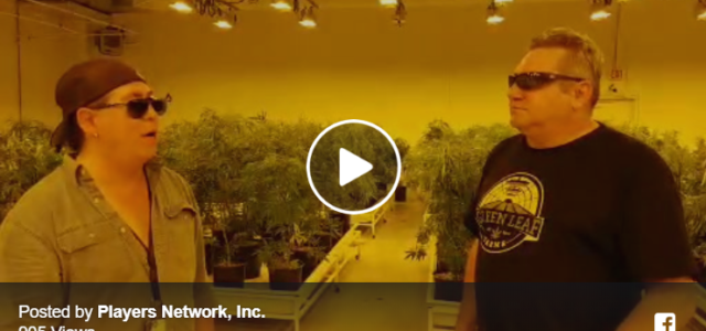 PNTV Shareholders Update: Live from Green Leaf Farms with CEO Mark Bradley & Jason Ching