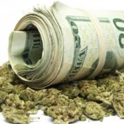 Pot Stocks to Look Out For in 2018