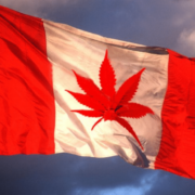The Marijuana Banking Industry in Canada