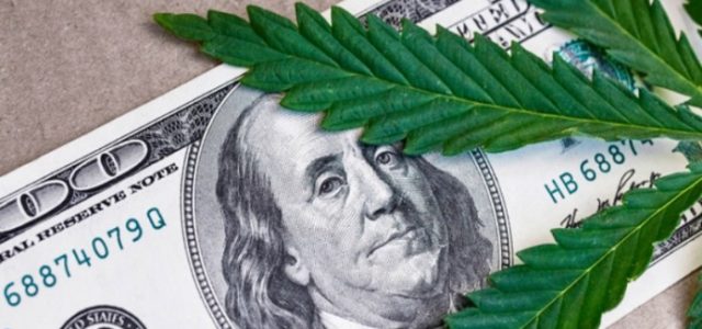 The Marijuana Industries Top Competitors
