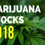What Is The Current State of The Marijuana Industry