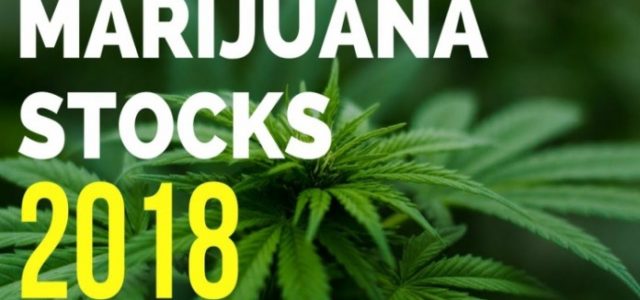 What Is The Current State of The Marijuana Industry