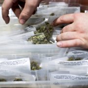 California lawmakers pass bill to erase old marijuana convictions