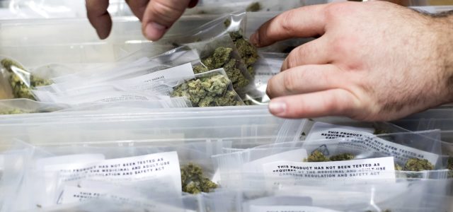 California lawmakers pass bill to erase old marijuana convictions