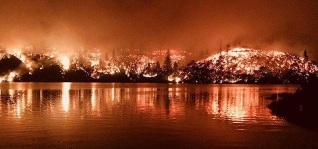 Can Wildfires Impact Cannabis Quality and Test Results?