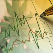 Marijuana Stocks Continue to Surge Amidst News of Recreational Legalization