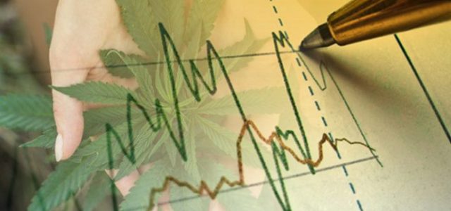 Marijuana Stocks Continue to Surge Amidst News of Recreational Legalization