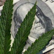 Marijuana Stocks Continue to Thrive