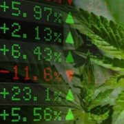 Marijuana Stocks Newsletter – August 27, 2018