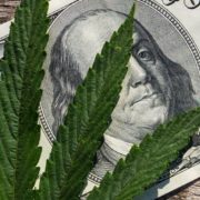 Marijuana Stocks Newsletter – Friday August 17, 2018