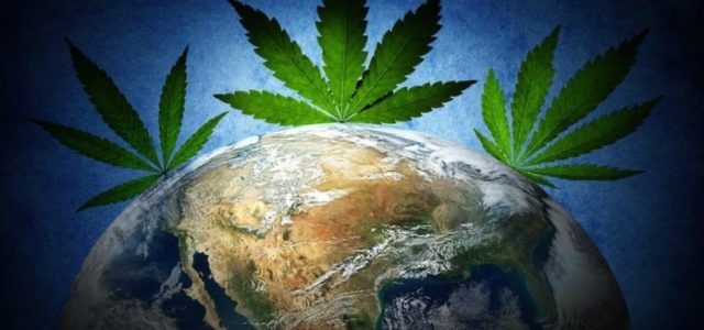 Marijuana Stocks Newsletter – Happy Humpday – August 1, 2018