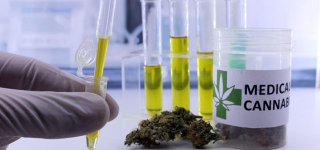 Michigan Approves Medical Marijuana Testing Labs