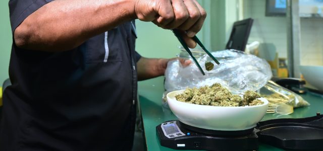 Montebello’s plan to bring in marijuana businesses is slooooow going