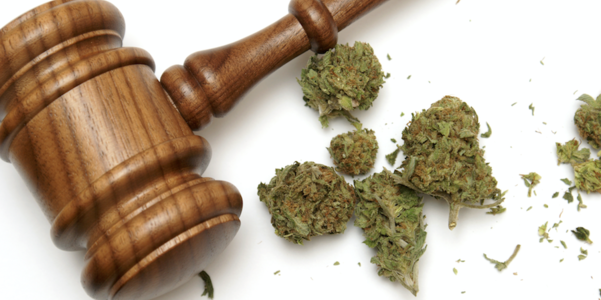 Oklahoma Voters Legalize Marijuana For Medical Use
