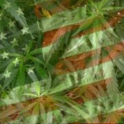 U.S. Territory Makes Landmark Decision to Legalize Cannabis