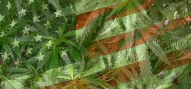 U.S. Territory Makes Landmark Decision to Legalize Cannabis
