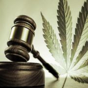 What to do As the Cannabis Space Gears up for Legislation