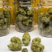 Sarasota County, Fla., Considers Banning Sale of Recreational Marijuana