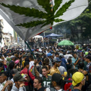 Amazing photos from the 2017 Global Marijuana March