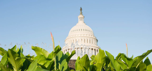 Appropriations and Cannabis (Part 2): Why It Matters