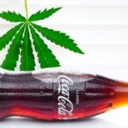 Coca-Cola eyes CBD ‘functional wellness beverages’ as soda market cools