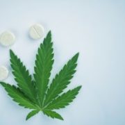 Marijuana News Today: TLRY Continues to Rise, Cannabis Medicine to Hit U.S. Market