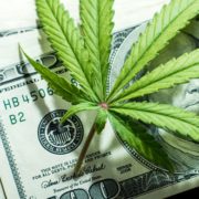 Marijuana Stocks Continue to Boom as Summer Comes to an End