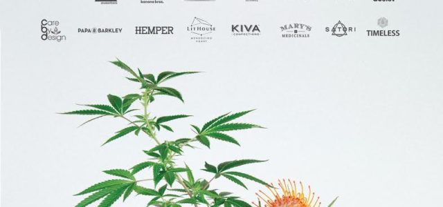 Partner Blog: From Fashion Lifestyle to Cannabis – A Natural Move?