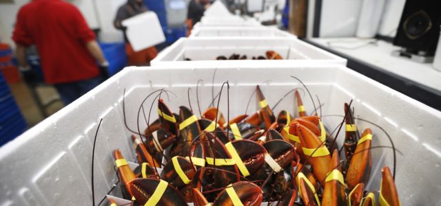 Restaurant finds itself in hot water for marijuana-lobster stunt