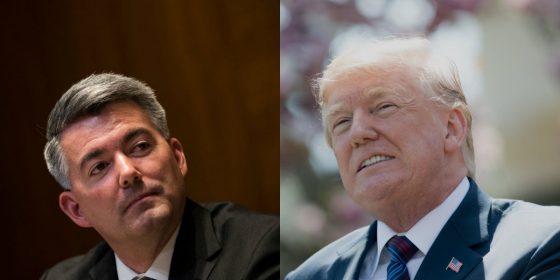 Sen. Cory Gardner: Trump has agreed to support state-legal marijuana protections
