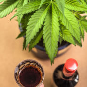 The Law on CBD-Infused Alcoholic Beverages