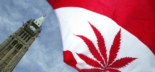 Thousands expected to attend Canada’s largest cannabis trade show to prep for legalization