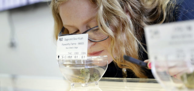 Women look to make mark on male-dominated marijuana industry
