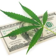 3 Marijuana Stocks to Buy After the Market Meltdown