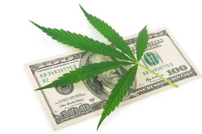 A marijuana leaf on top of $100 bill.