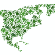CanEx Jamaica 2018: Lessons from Marijuana Legalization Across North America