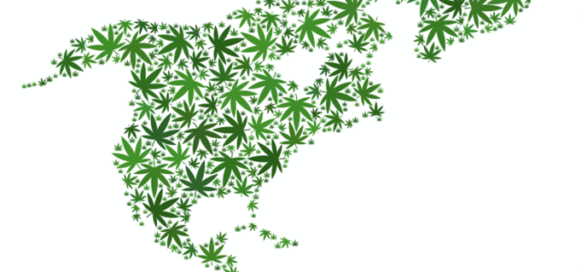 CanEx Jamaica 2018: Lessons from Marijuana Legalization Across North America