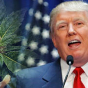Donald Trump Stands In Support For Federal Marijuana Reform